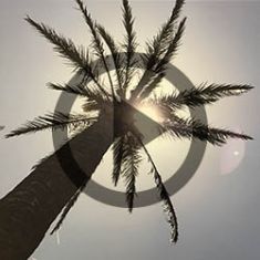 Fit auf Reisen - Rückenübungen